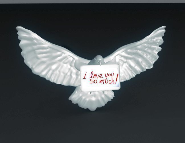 Carrier Pigeon 3D print model_1