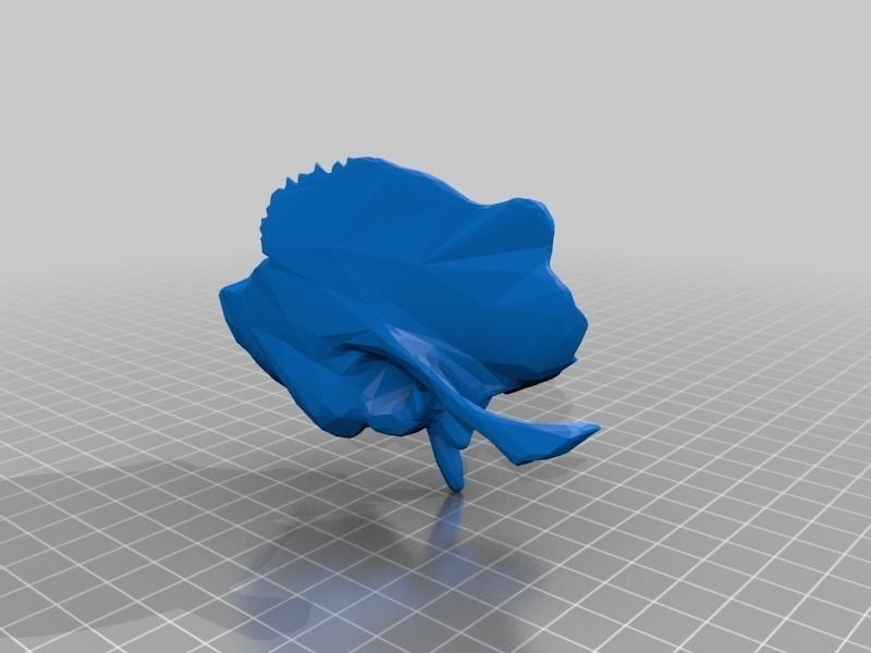 Face - Partial Skeleton Human 3D print model_3