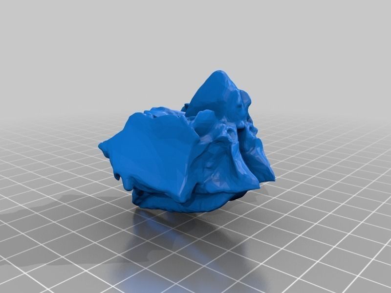 Face - Partial Skeleton Human 3D print model_5