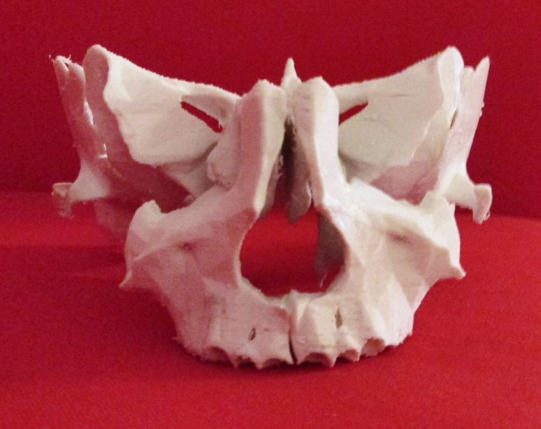 Face - Partial Skeleton Human 3D print model_8
