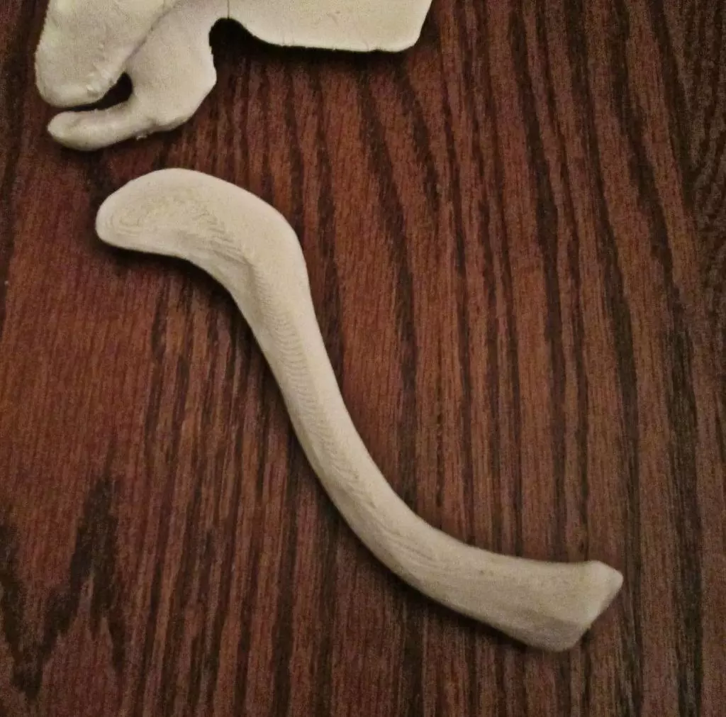 Skeleton Bone Clavicle-Right Human Free 3D print model_0