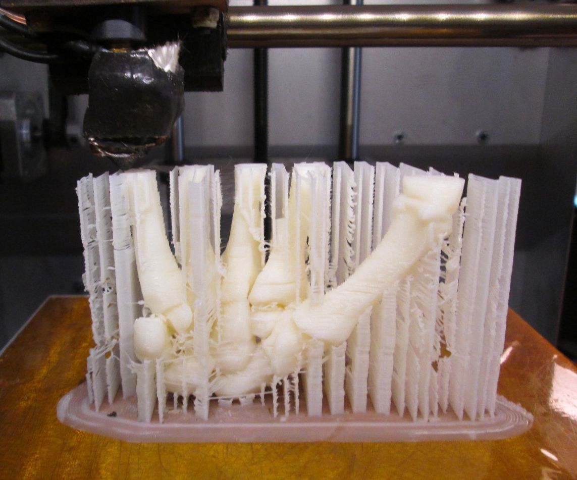 Human Hand-Right Full Scale assembled 3D print model_2