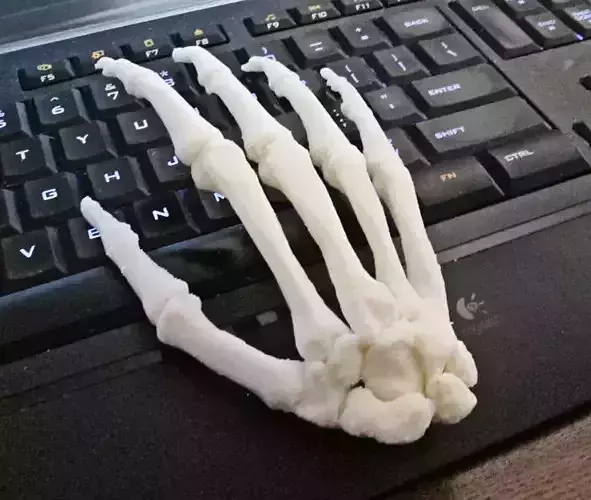 Human Hand-Right Full Scale assembled 3D print model