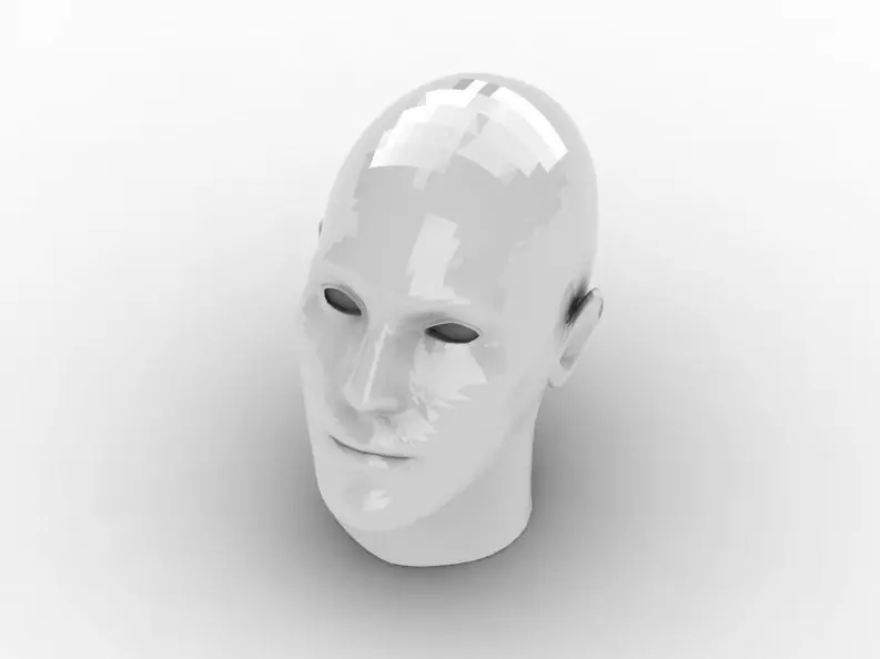 Head 1 human 3D print model_0