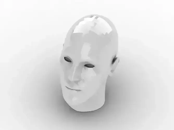 Head 1 human 3D print model