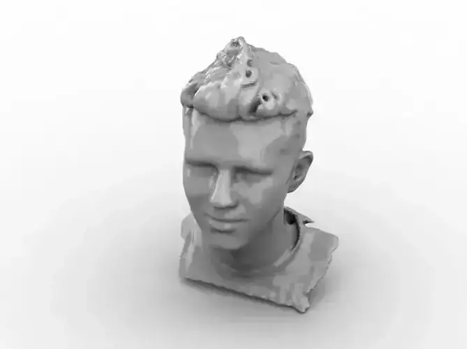 Head 2 bust of man
