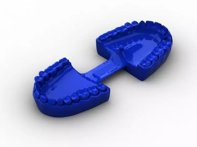 Mouth Teeth Gums 3D print model