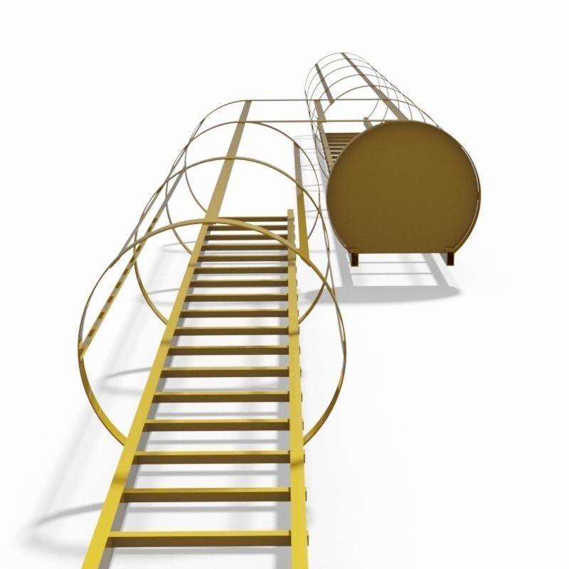 Double safety cage ladder 3D model_2