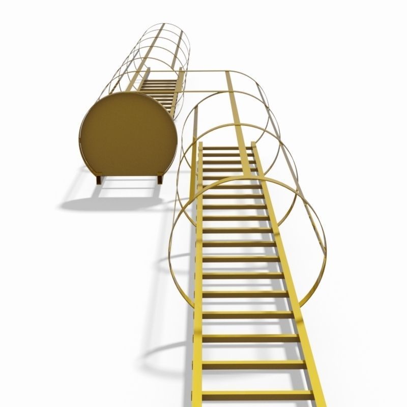 Double safety cage ladder 3D model_3