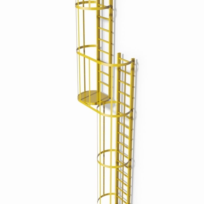 Double safety cage ladder 3D model_1