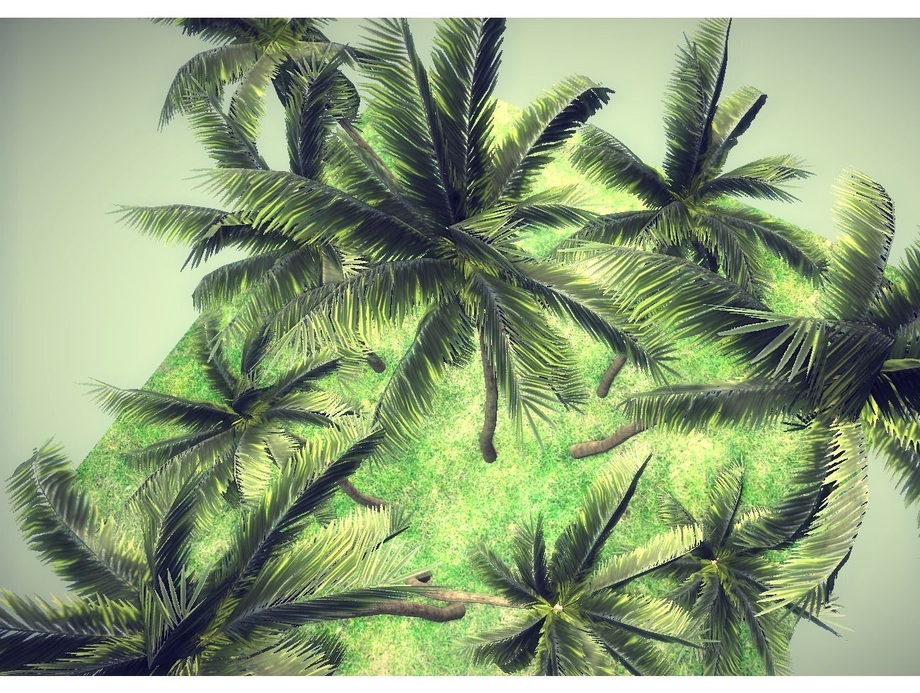 low poly palms pack Low-poly 3D model_9