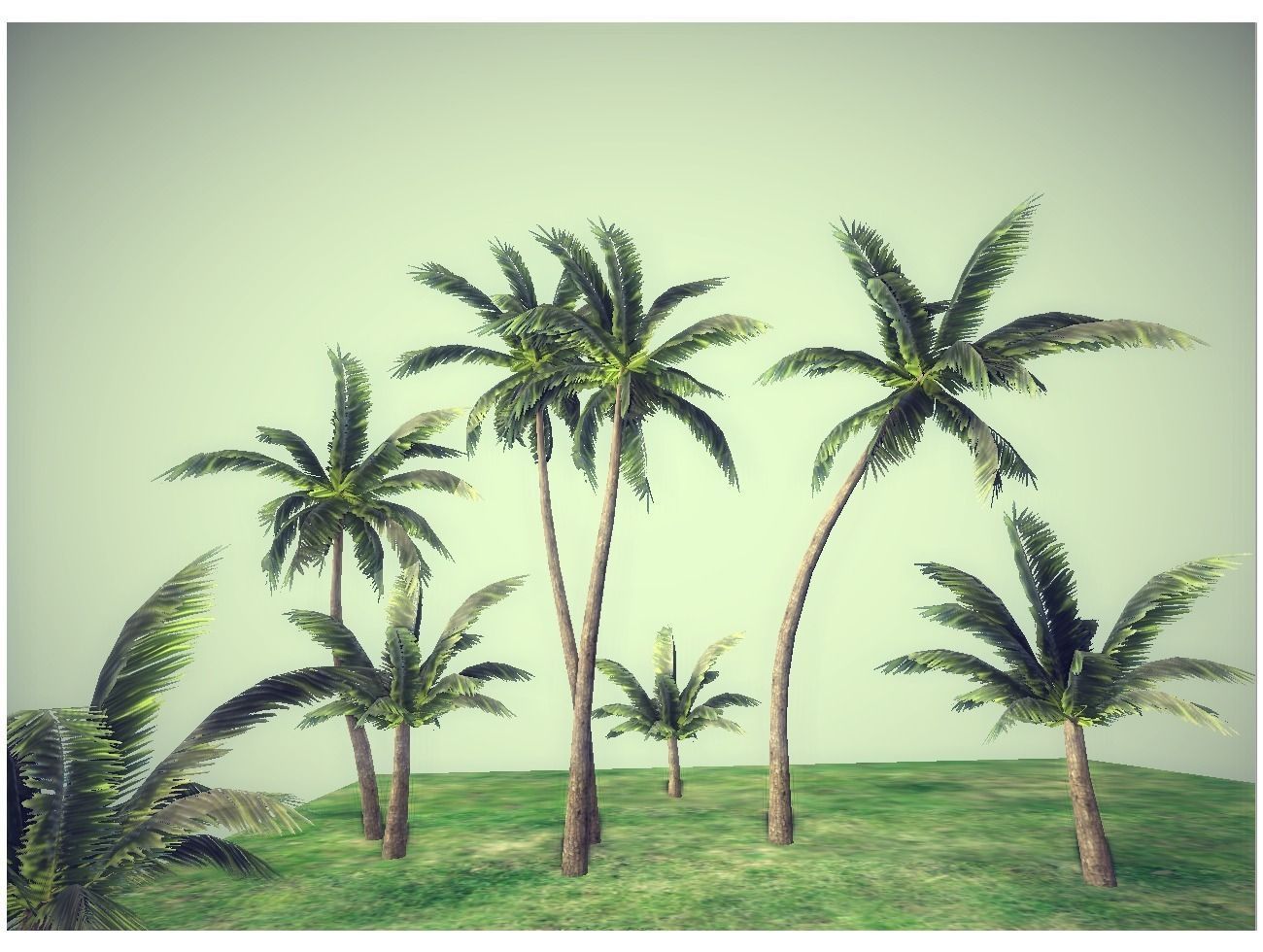 low poly palms pack Low-poly 3D model_1