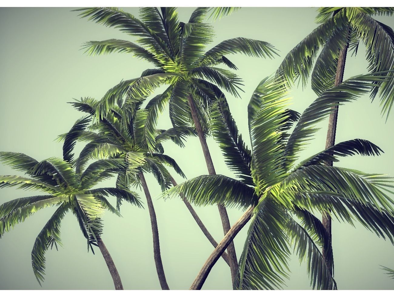 low poly palms pack Low-poly 3D model_0