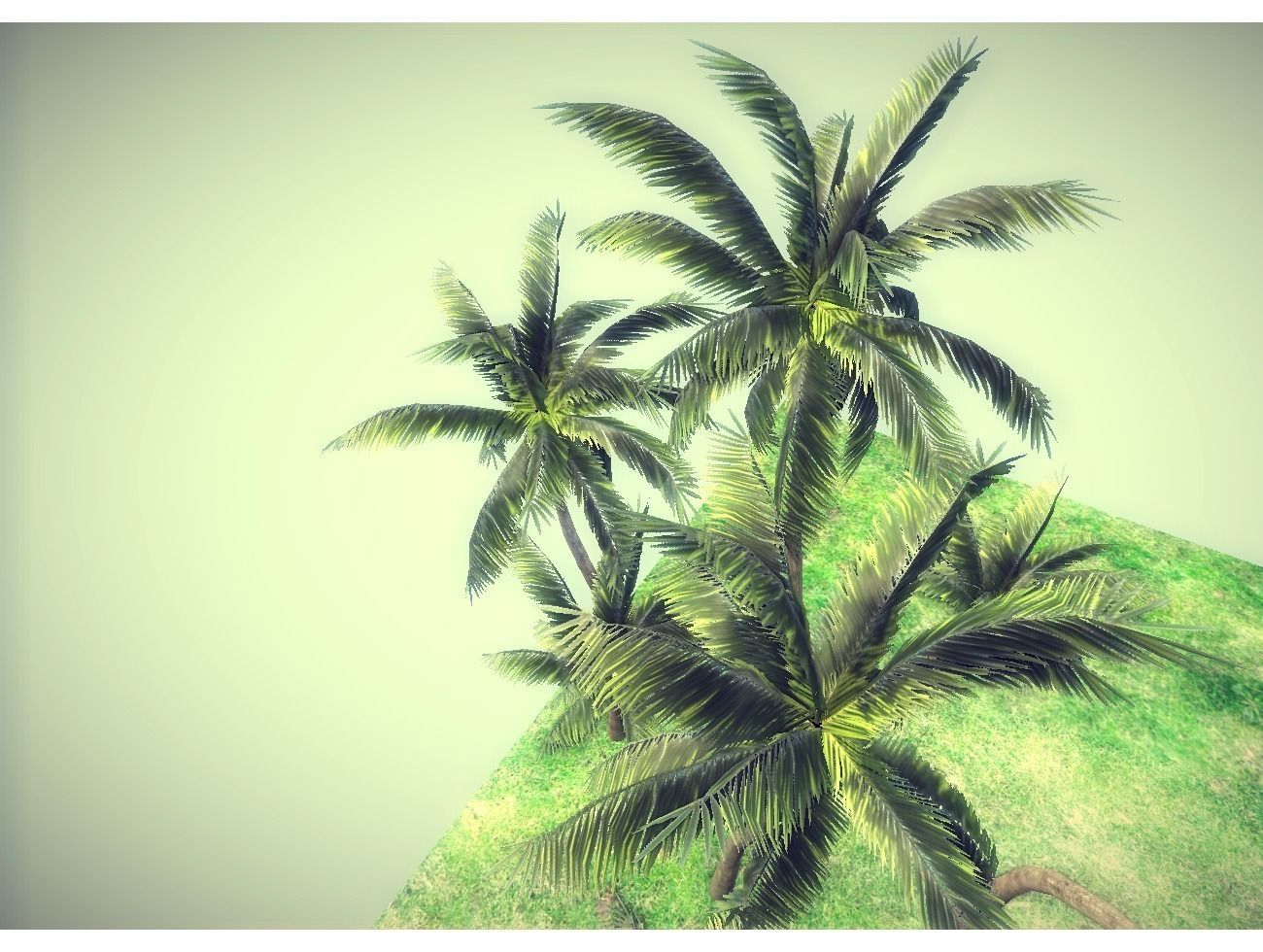 low poly palms pack Low-poly 3D model_3