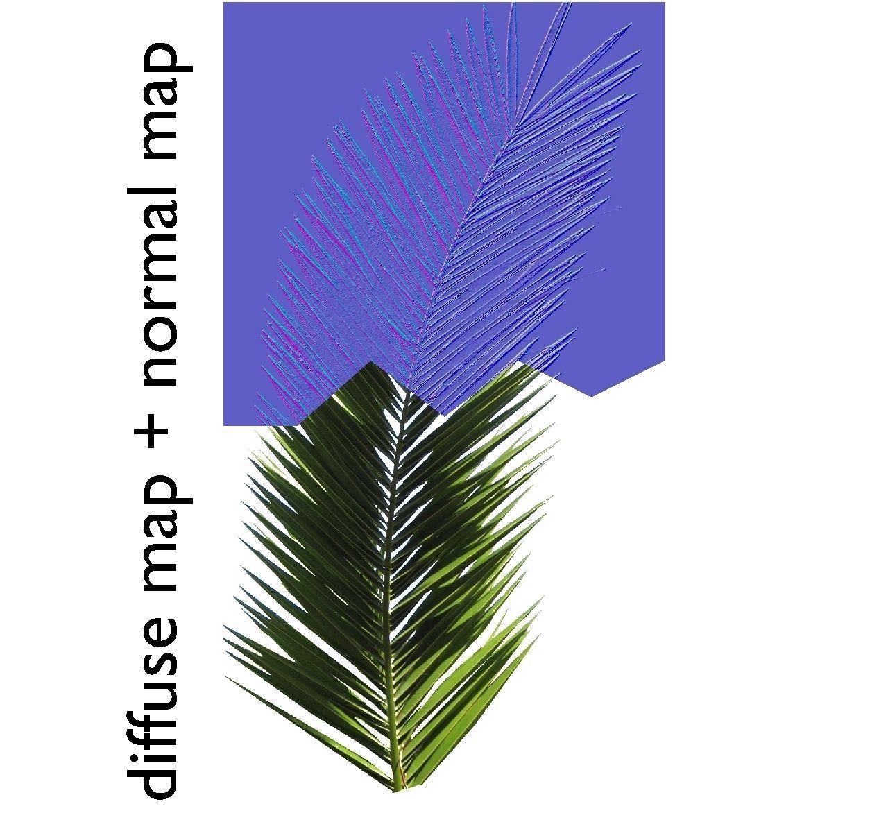 low poly palms pack Low-poly 3D model_7