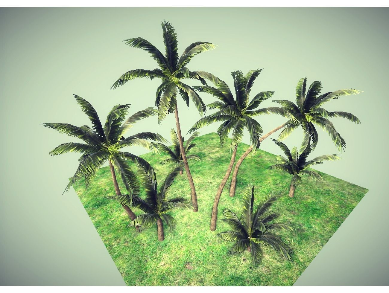low poly palms pack Low-poly 3D model_4