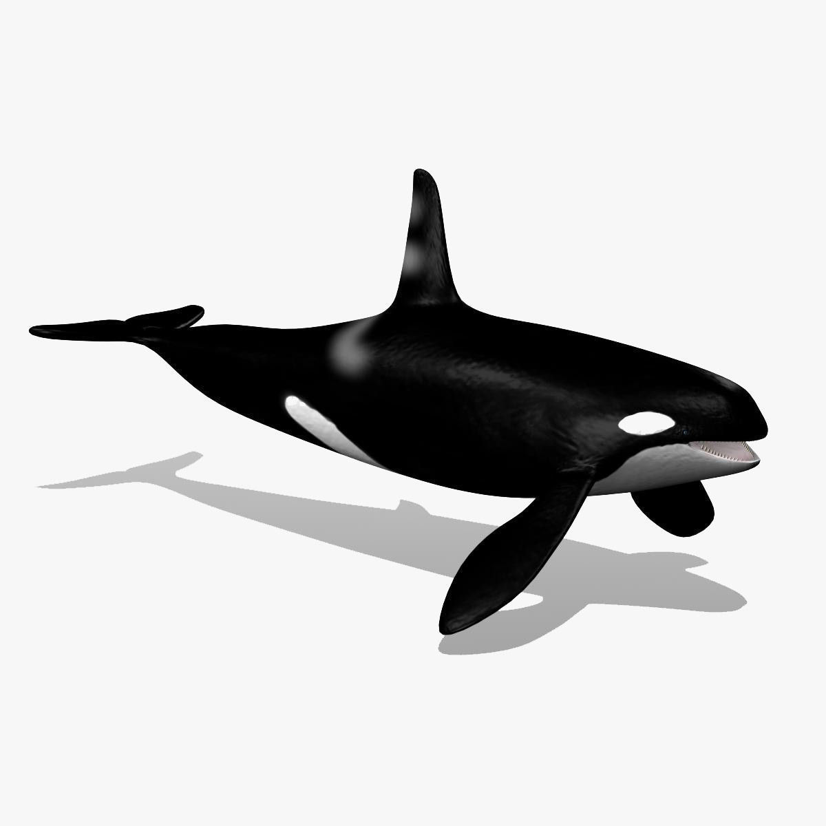 Orca3D crack .ir Orca3D crack .ir