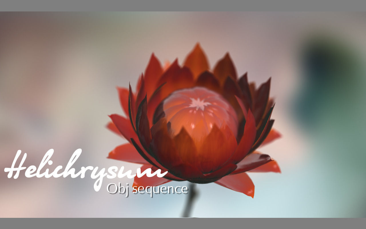 Aster lotus flower 3D model_4