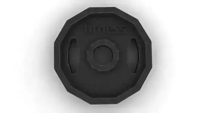 Fitness disc