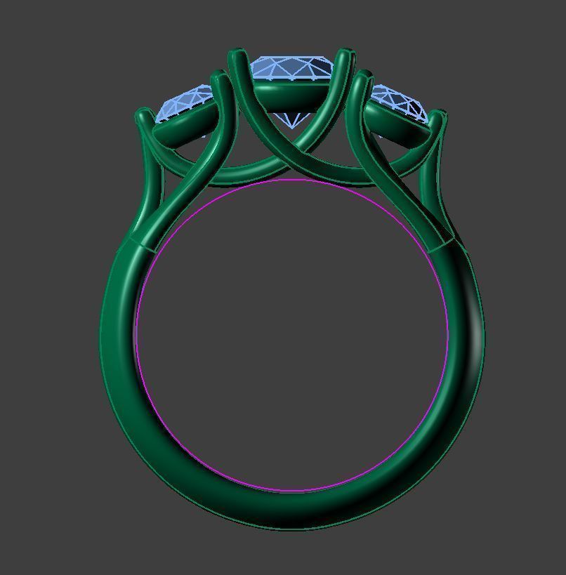 ring ss 3D print model_2