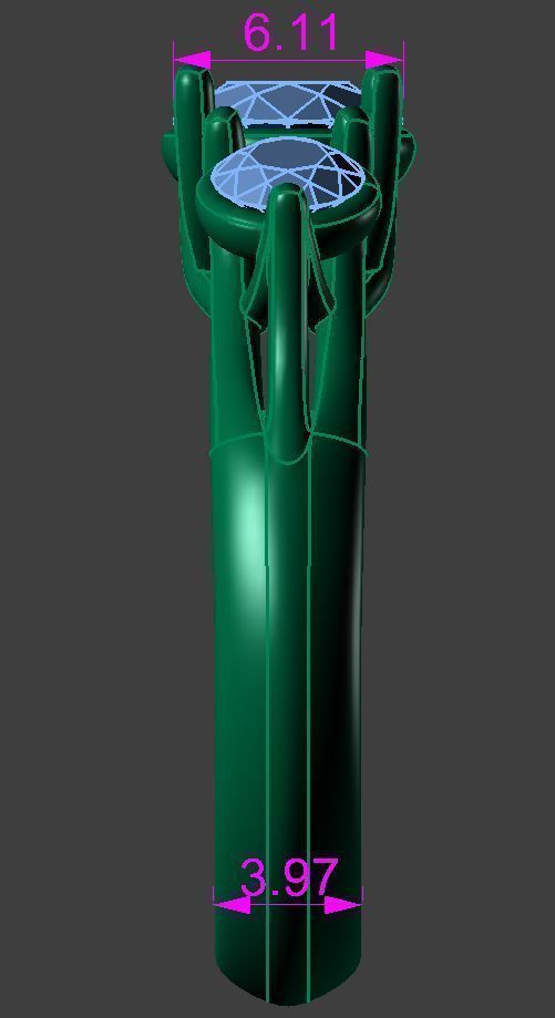 ring ss 3D print model_7