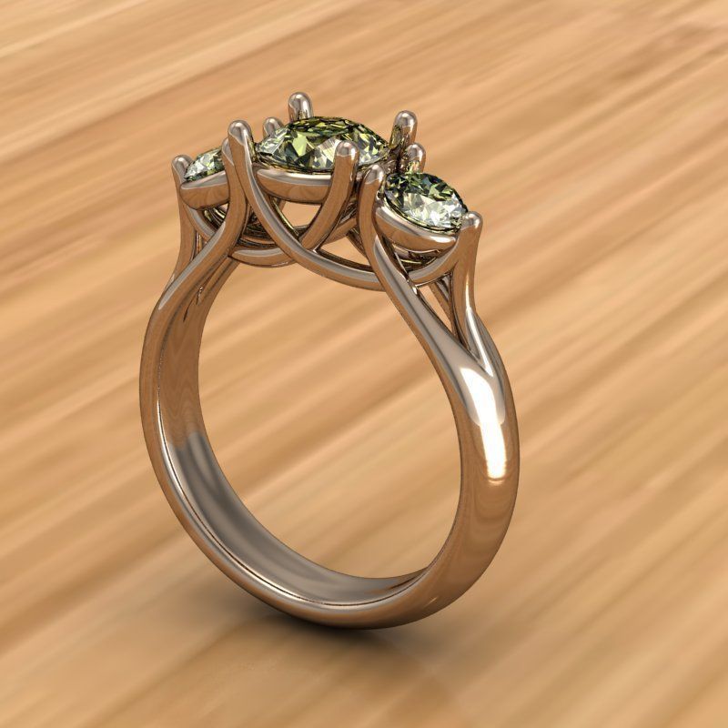ring ss 3D print model_1