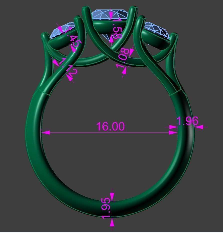 ring ss 3D print model_8