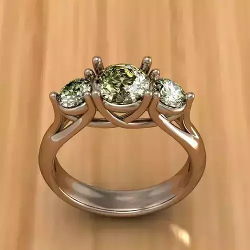 ring ss 3D print model