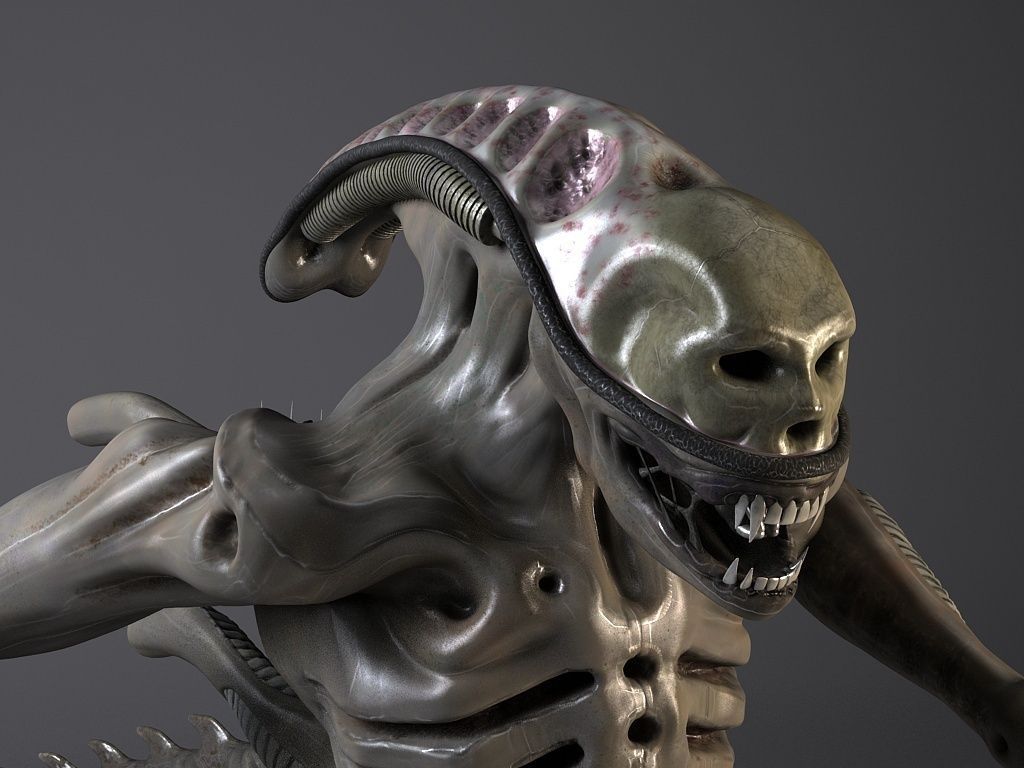 Alien Xenomorph Rigged 3D model_6