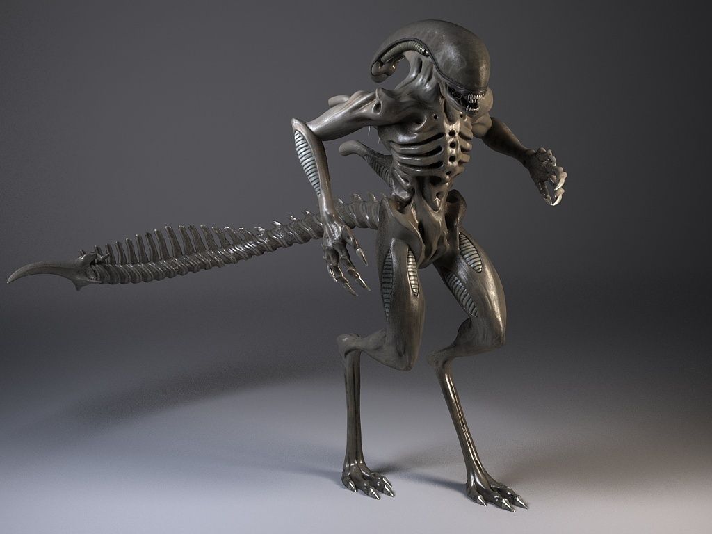 Alien Xenomorph Rigged 3D model_1