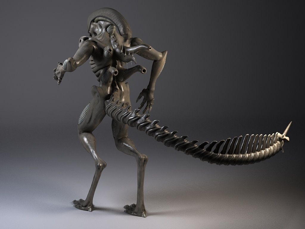 Alien Xenomorph Rigged 3D model_9