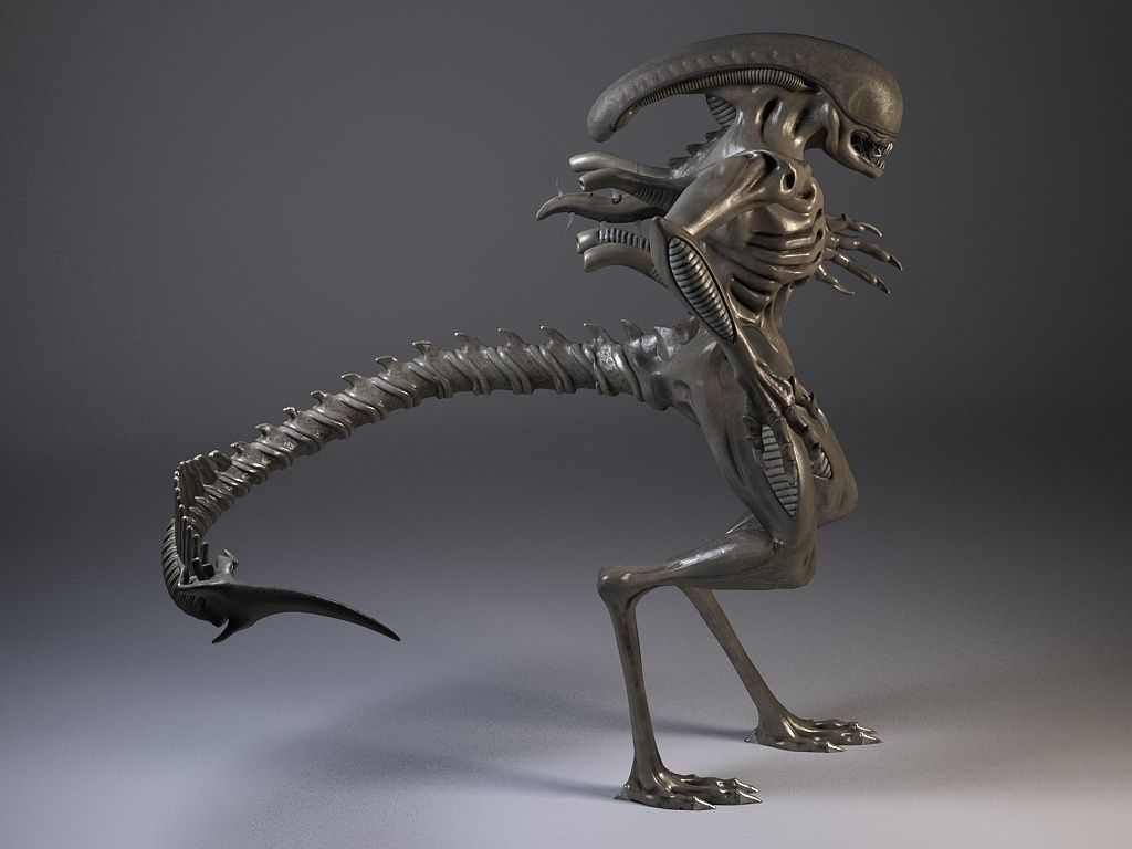 Alien Xenomorph Rigged 3D model_7