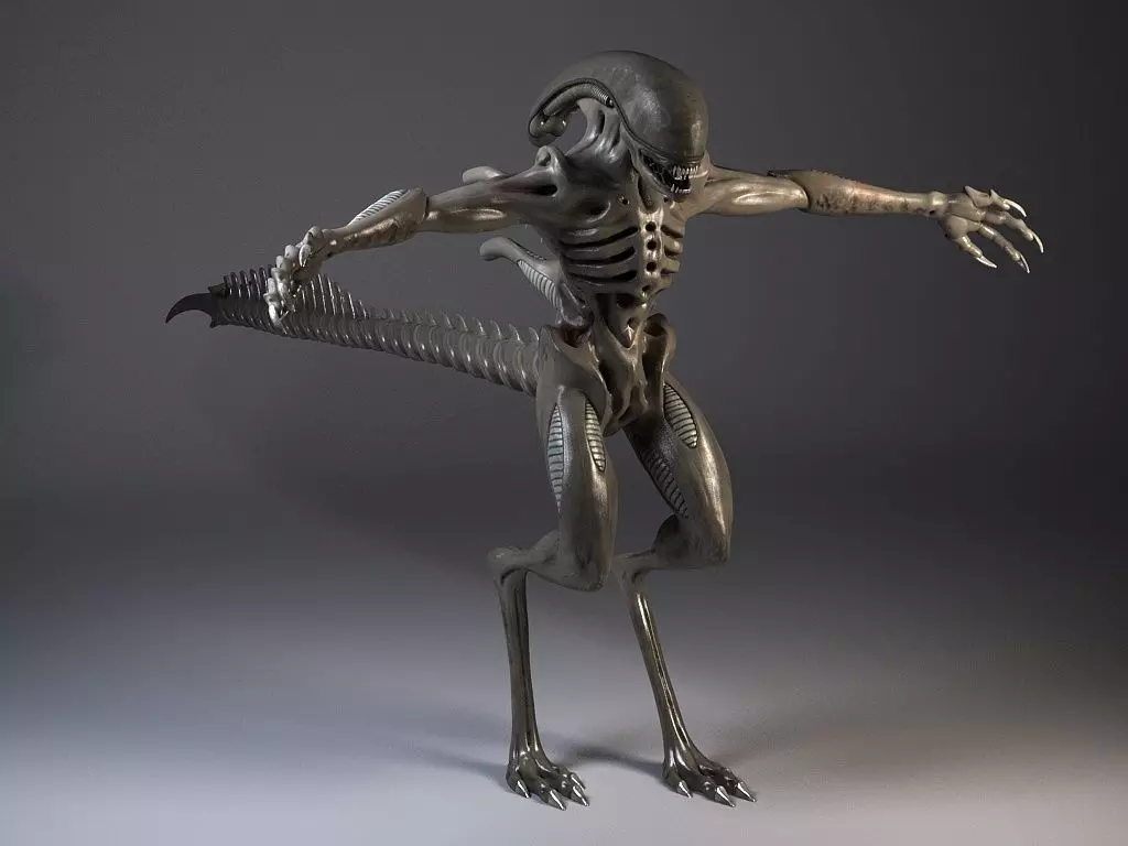 Alien Xenomorph Rigged 3D model_0