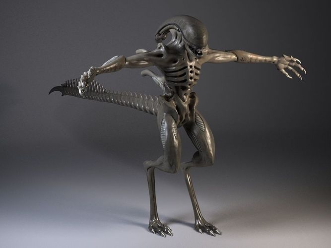 Alien Xenomorph Rigged 3D model