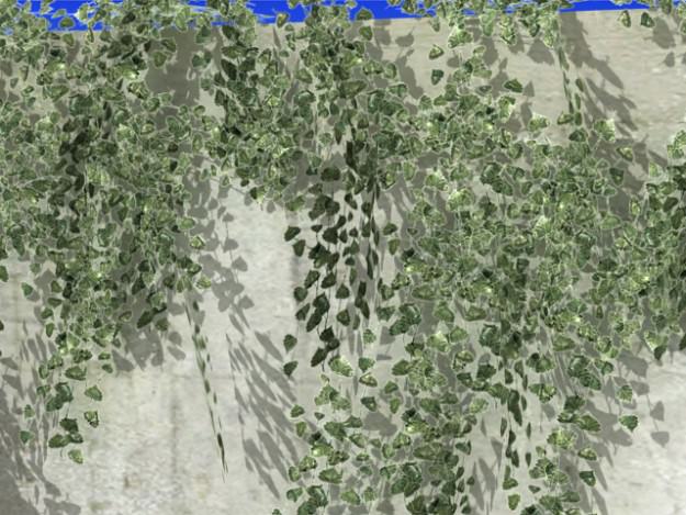 Ivy 03 3D model_4