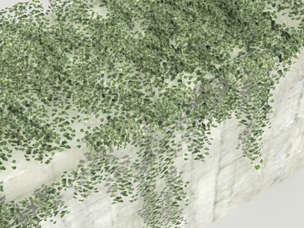 Ivy 03 3D model_7