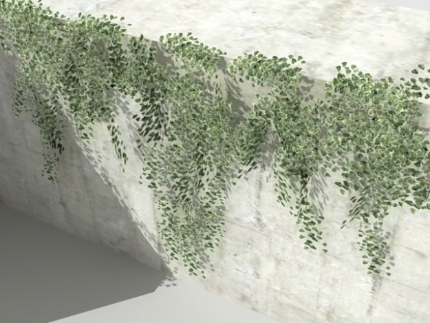 Ivy 03 3D model_1