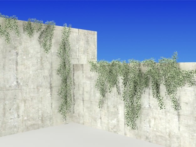 Ivy 03 3D model_3