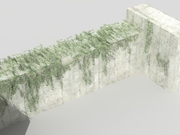 Ivy 03 3D model_6