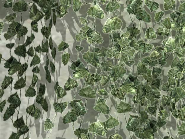 Ivy 03 3D model_5