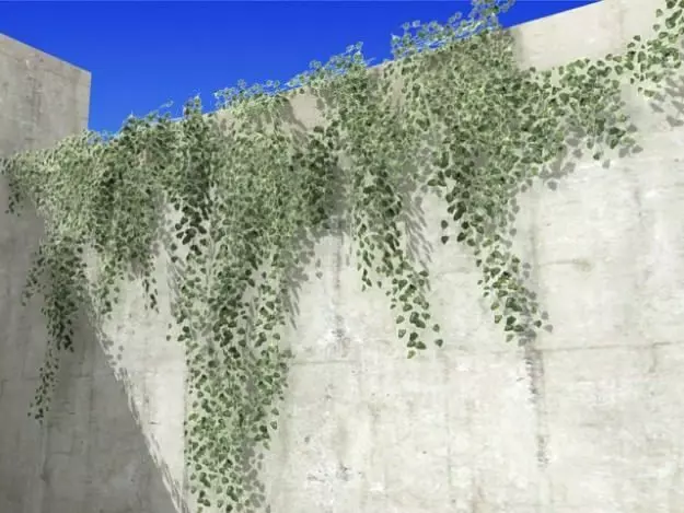 Ivy 03 3D model_0