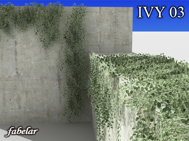 Ivy 03 3D model_8