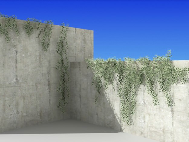Ivy 03 3D model_2