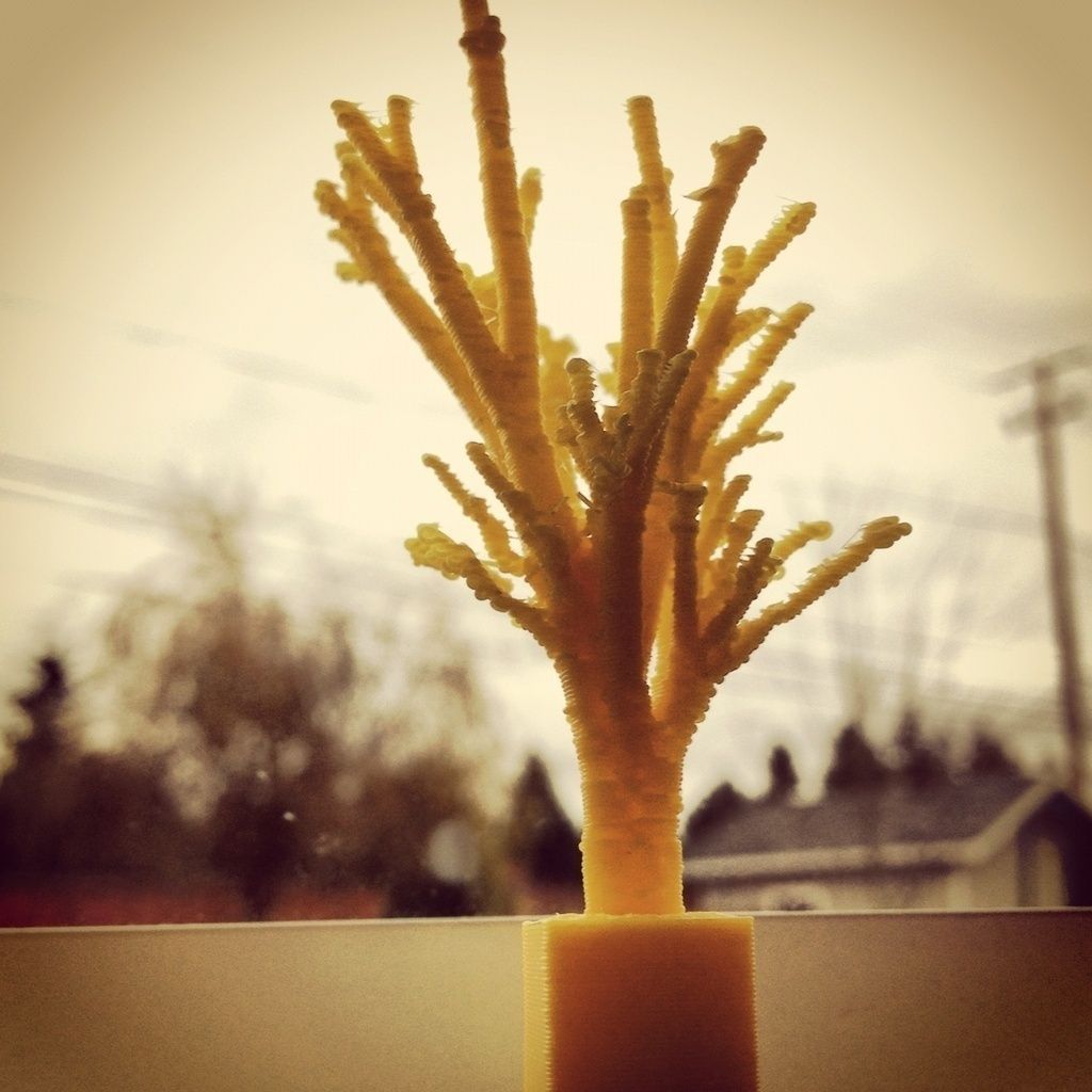 Tree in square box Free 3D print model_1