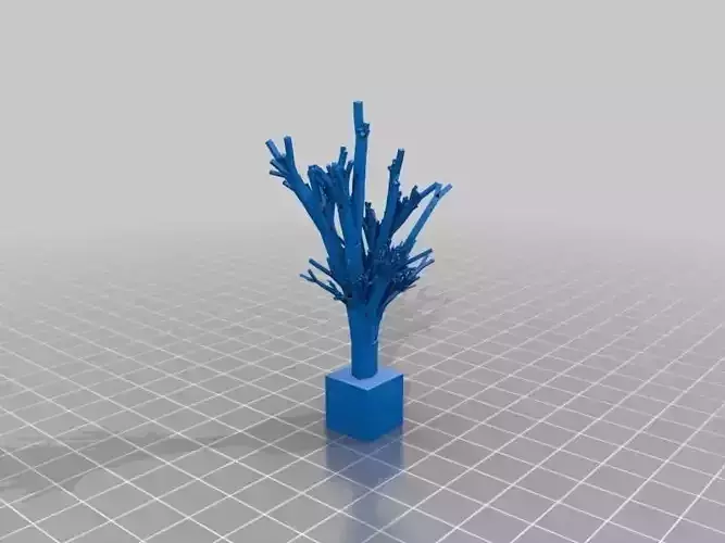 Tree in square box