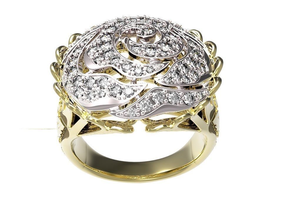 Ring 44 3D print model_8