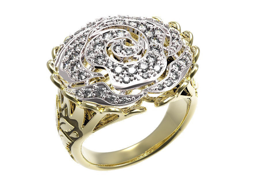 Ring 44 3D print model_14