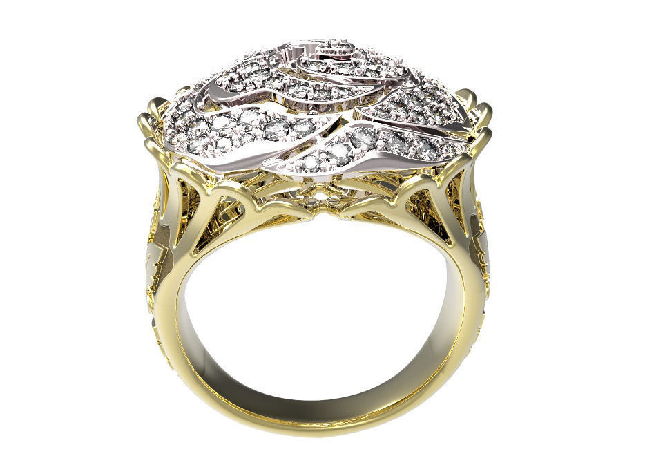 Ring 44 3D print model_5