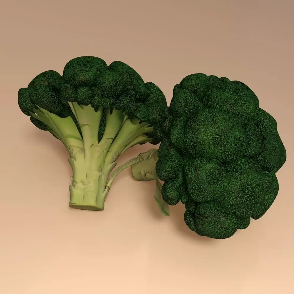 Broccoli two pieces of 3D model