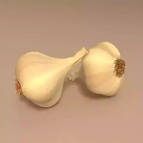 Garlic two garlics